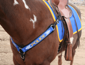 cowboy2